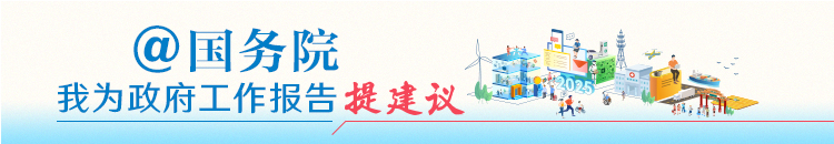 我為政府工作報告提建議